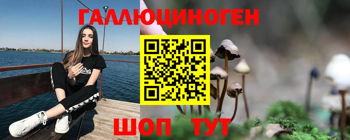 Галлюциногенные грибы прущие грибы  Бутурлиновка 